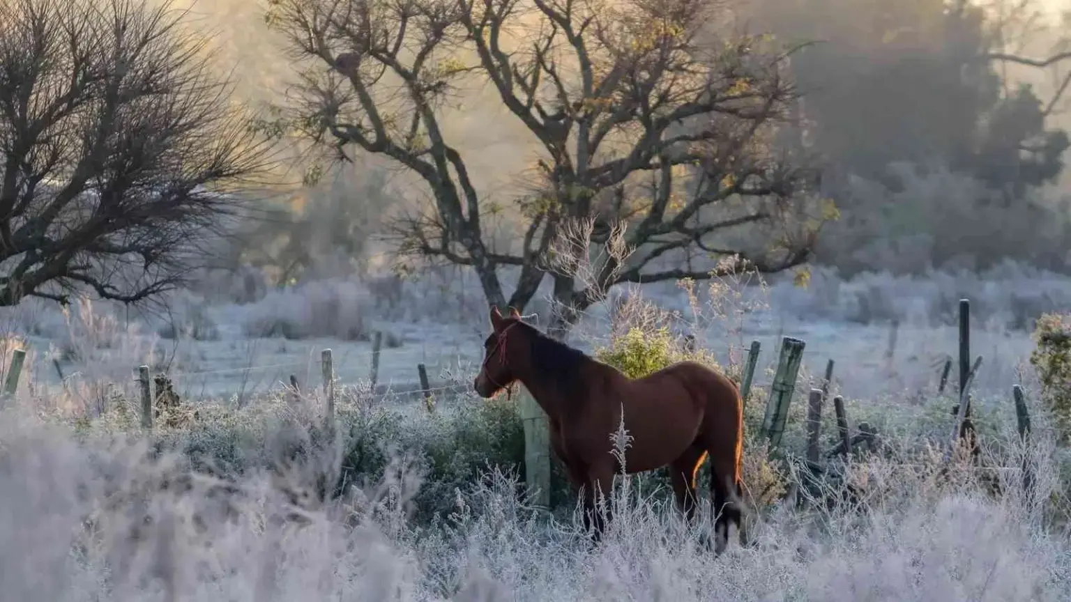 Foto mostra o frio no inverno da Campanha