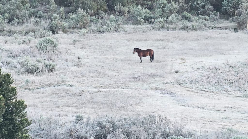 Santa Catarina enfrenta frio de quase 7ºC abaixo de zero
