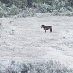 Santa Catarina enfrenta frio de quase 7ºC abaixo de zero