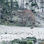 Frio extremo de -9ºC em Santa Catarina