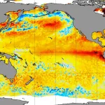 Cientistas fazem alerta após aquecimento recorde dos oceanos em junho
