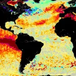 Sequência de 50 dias de calor recorde nos oceanos alarma cientistas