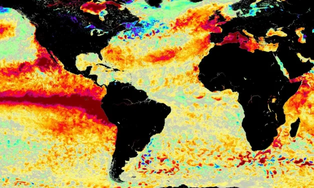Sequência de 50 dias de calor recorde nos oceanos alarma cientistas