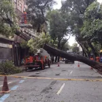 Frente fria traz vento de 100 km/h com mortes e estragos em SP e RJ