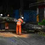Sobe o número de vítimas pelo vento em São Paulo e Rio de Janeiro