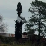 Vento chegou a 130 km/h em temporal no Uruguai