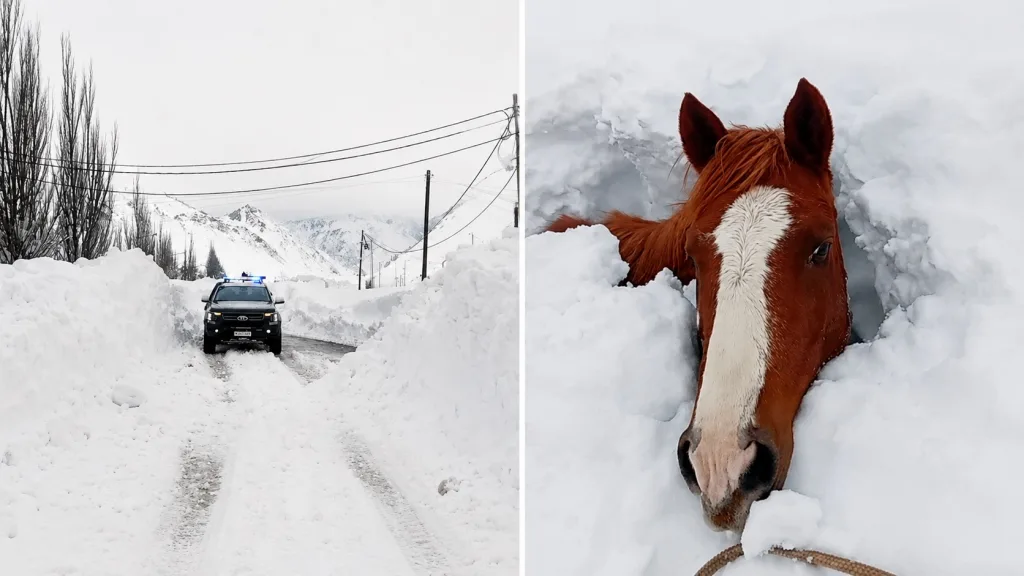 Maior neve em anos nos Andes soterra animais e causa avalanches