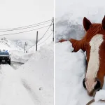Maior neve em anos nos Andes soterra animais e causa avalanches