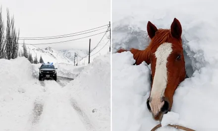 Maior neve em anos nos Andes soterra animais e causa avalanches Quantidade enorme de neve atingiu os Andes entre a Argentina e o Chile nos últimos dias com resgates e comunidades isoladas