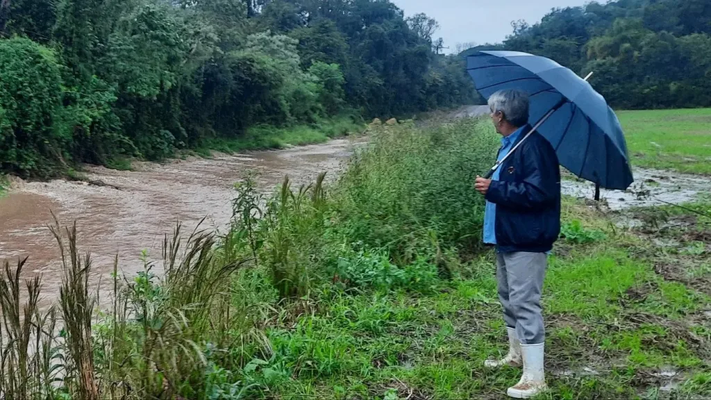 Chuva volumosa no Rio Grande do Sul: veja as últimas projeções