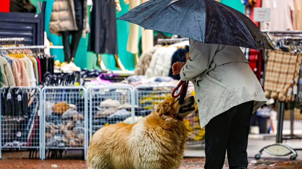 Chuva retorna ao Rio Grande do Sul neste domingo; veja o que esperar