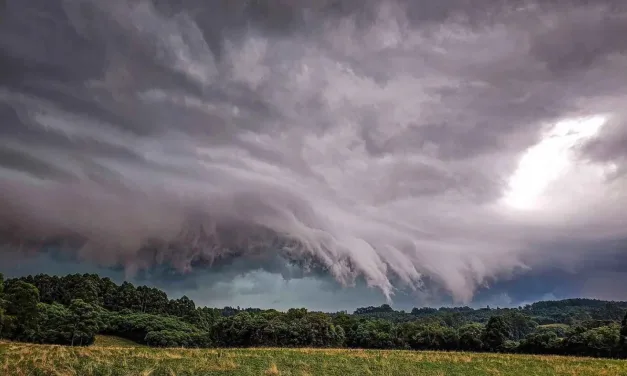 Frente fria vira o tempo no começo de agosto com chuva e vendavais