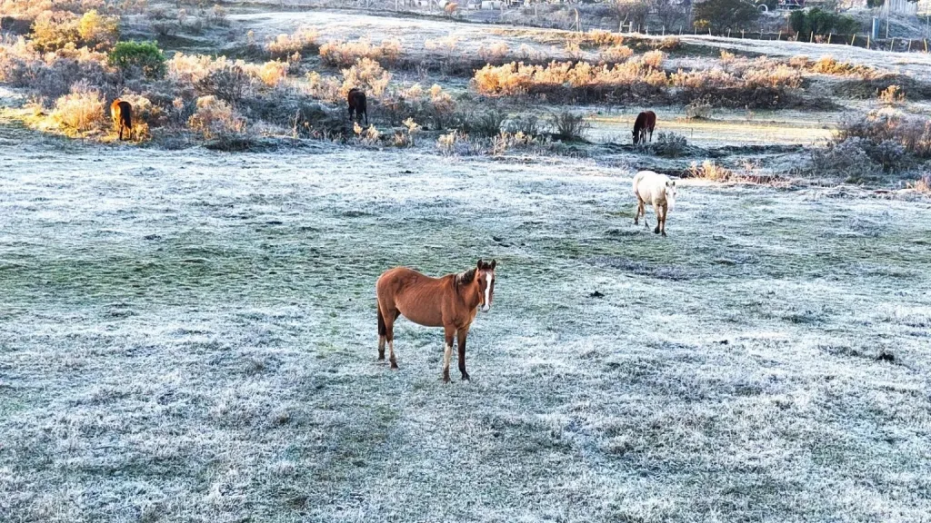 Massa de ar da Antártida traz frio congelante em quase 60 cidades