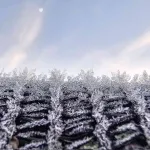 Quase 50 cidades gaúchas com frio abaixo de zero