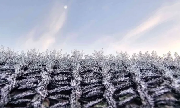 Quase 50 cidades gaúchas com frio abaixo de zero