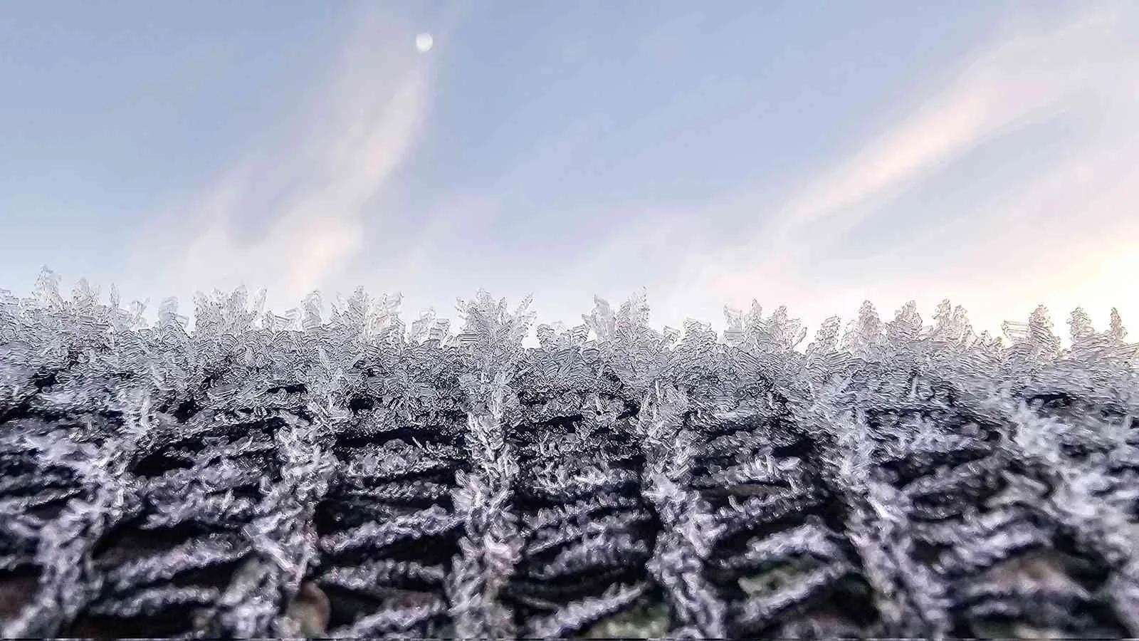 Foto mostra frio e geada em Sobradinho 