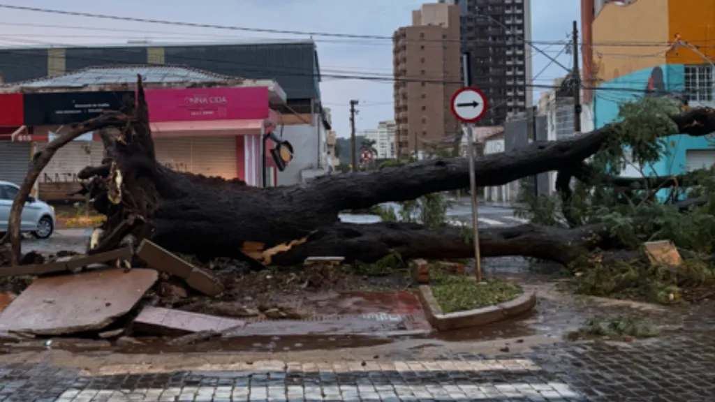Frente fria provoca vendaval destrutivo no interior de São Paulo