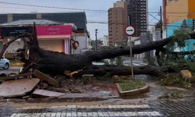 Frente fria provoca vendaval destrutivo no interior de São Paulo