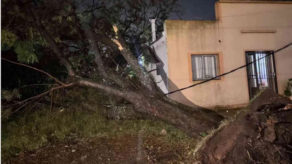 Violento temporal causa morte e estragos no Uruguai