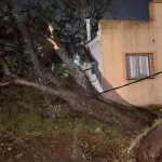 Violento temporal causa morte e estragos no Uruguai