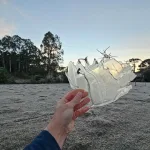 Santa Catarina registra frio de -6ºC; veja as mínimas
