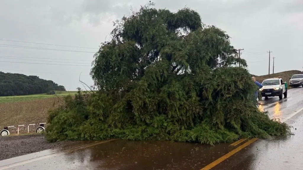 Temporal provoca estragos no Norte do Rio Grande do Sul