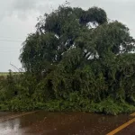 Temporal provoca estragos no Norte do Rio Grande do Sul