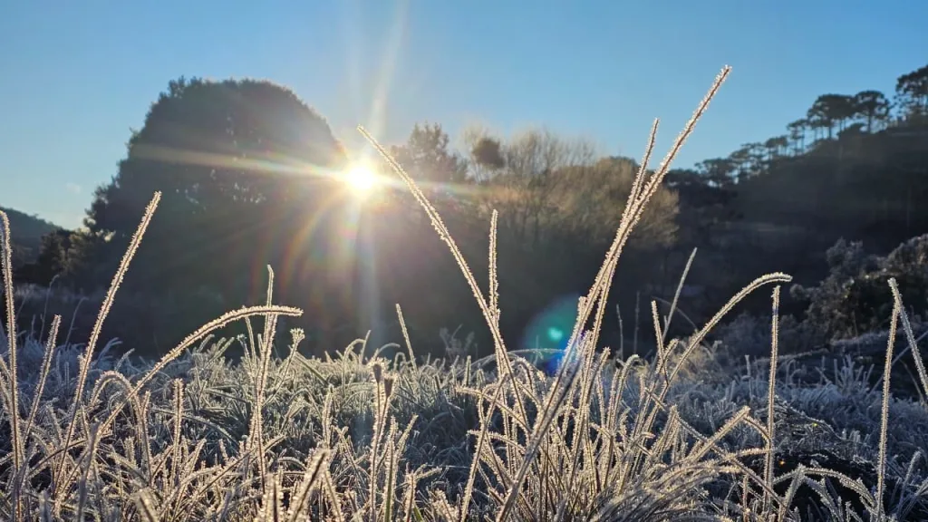 Semana começa congelante com -9°C no Sul