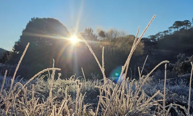 Semana começa congelante com -9°C no Sul