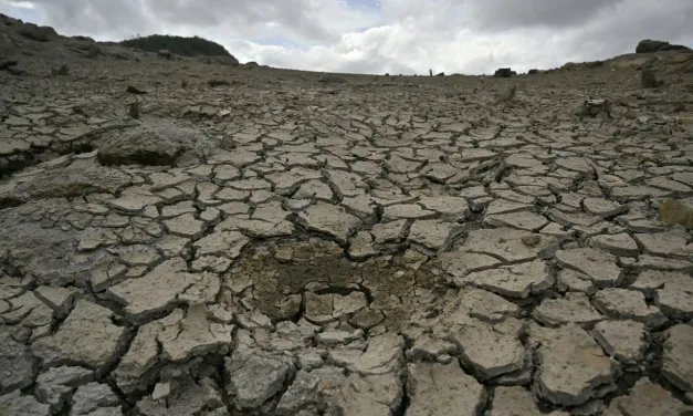 El Niño começa a provocar grandes secas no continente