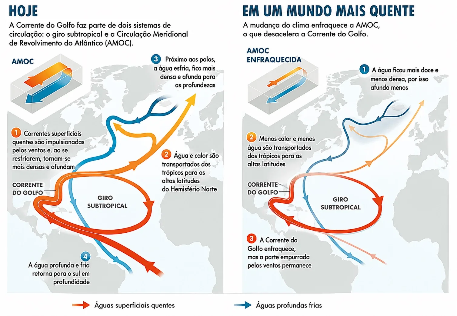 Infográfico da AMOC