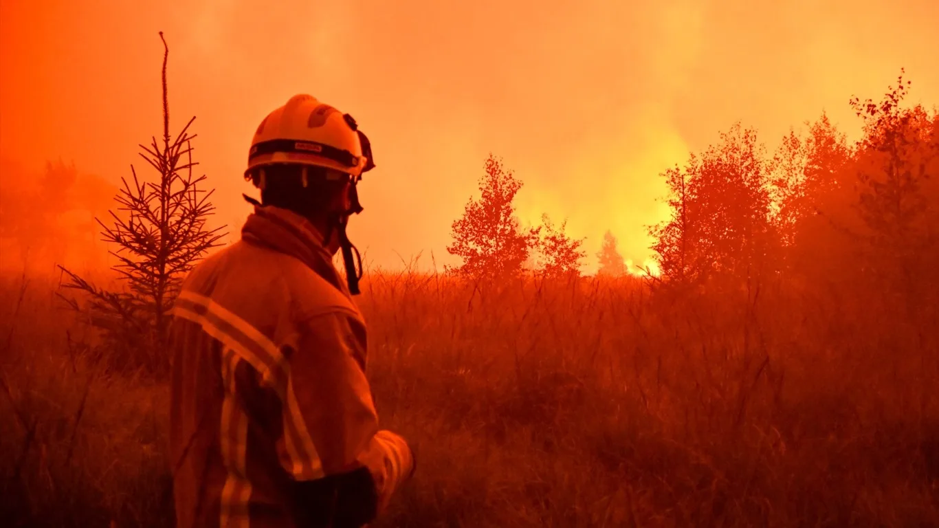 Foto do incêndio florestal na Bélgica