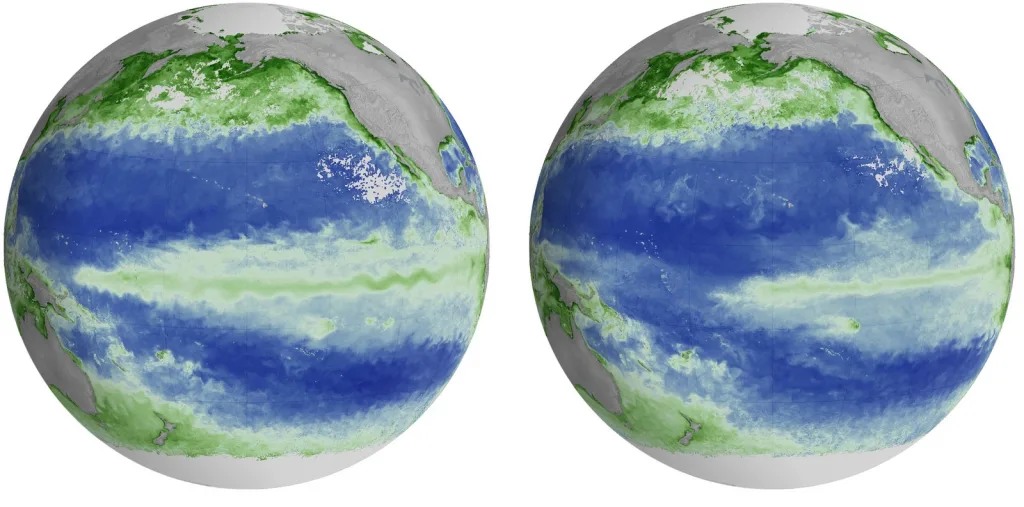 El Niño começa a interferir na vida marinha, anuncia a NASA
