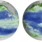 El Niño começa a interferir na vida marinha, anuncia a NASA