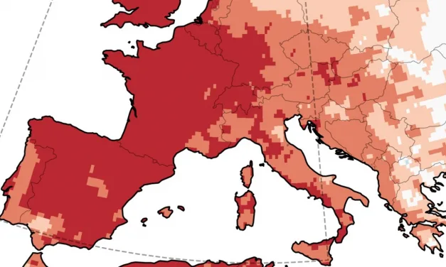 Europa se encaminha para ter o verão mais quente de sua história