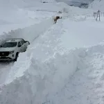 Neve histórica na Argentina traz caos logístico e festa no turismo