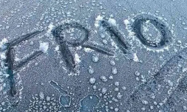 Onda de frio: confira quais estados devem ser mais atingidos