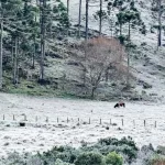 Prepare-se para sequência de dias com madrugadas de muito frio