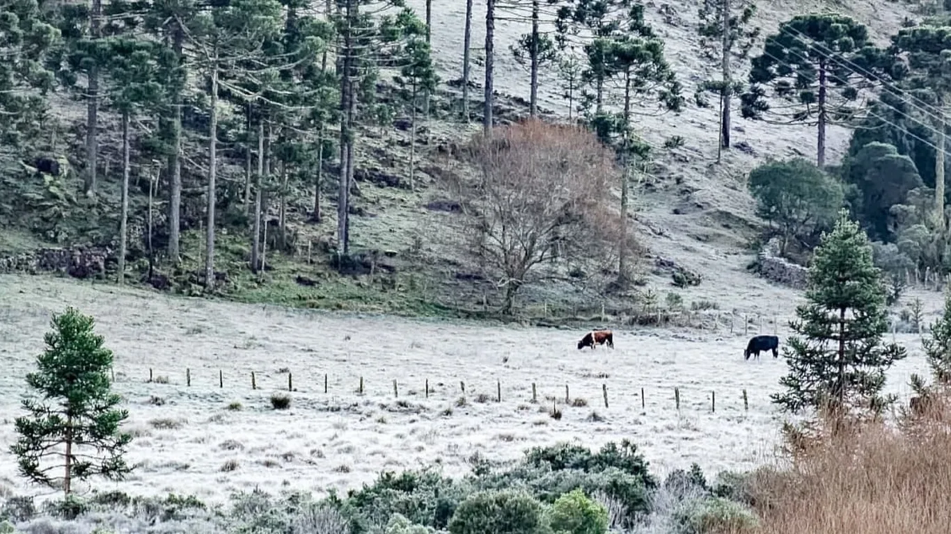 Foto do frio em Santa Catarina 