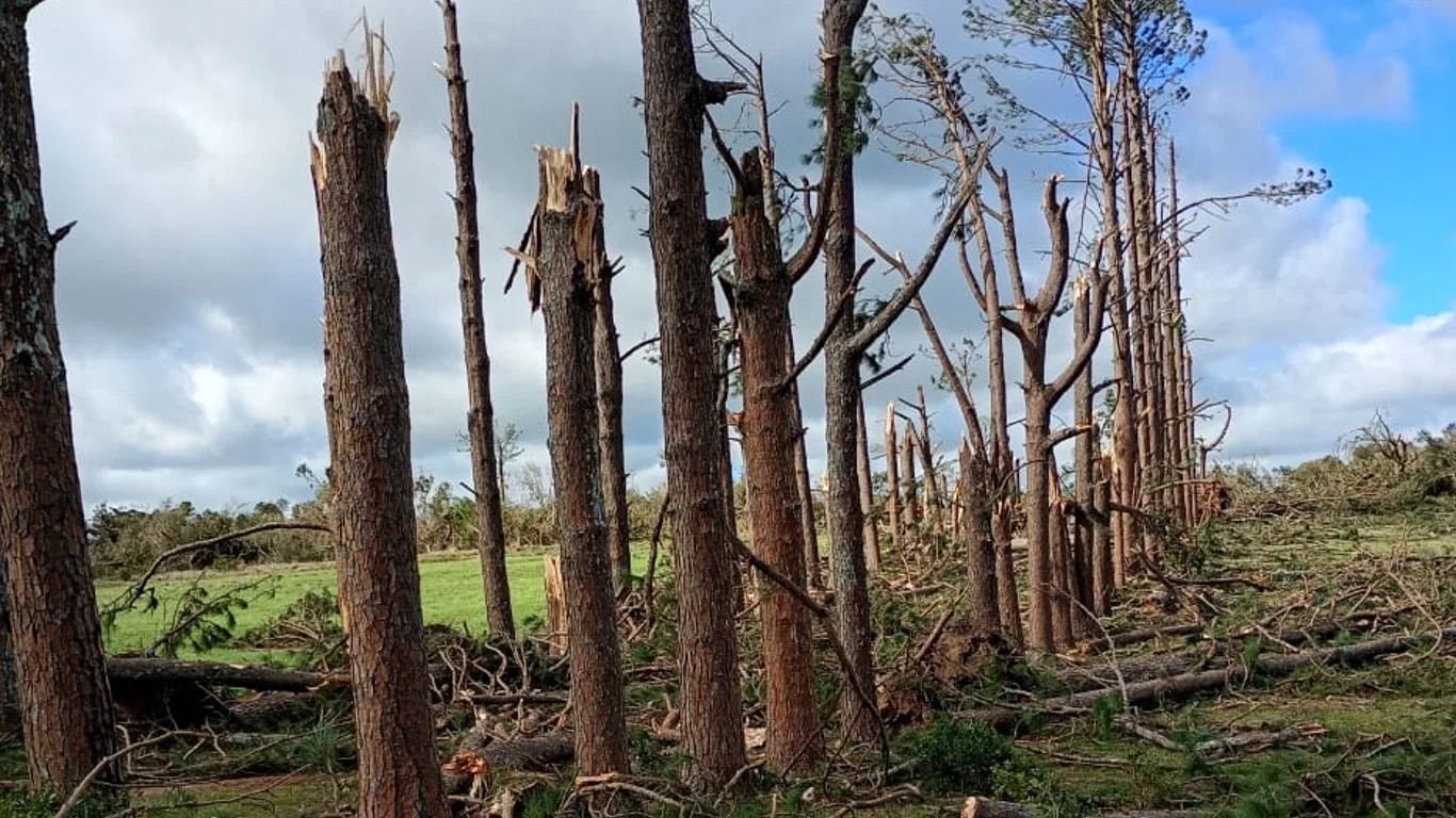 Foto dos estragos pelo tornado em Pedro Osório 
