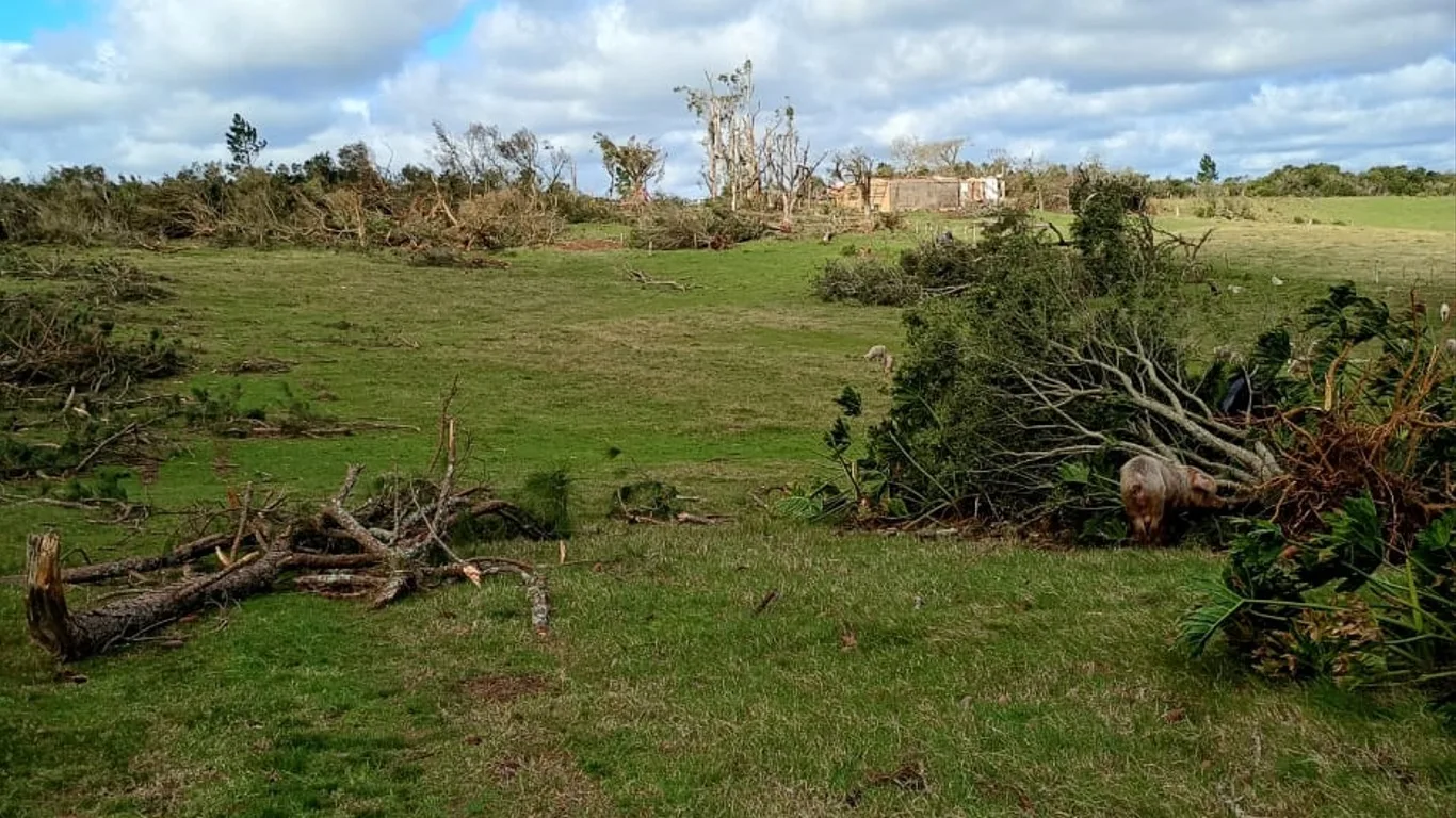 Foto dos estragos pelo tornado em Pedro Osório 