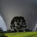 Meteorologista Estael Sias: o que se pode e não se pode prever de tornados