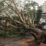 Frente fria e jato trazem vento forte a intenso nas próximas horas