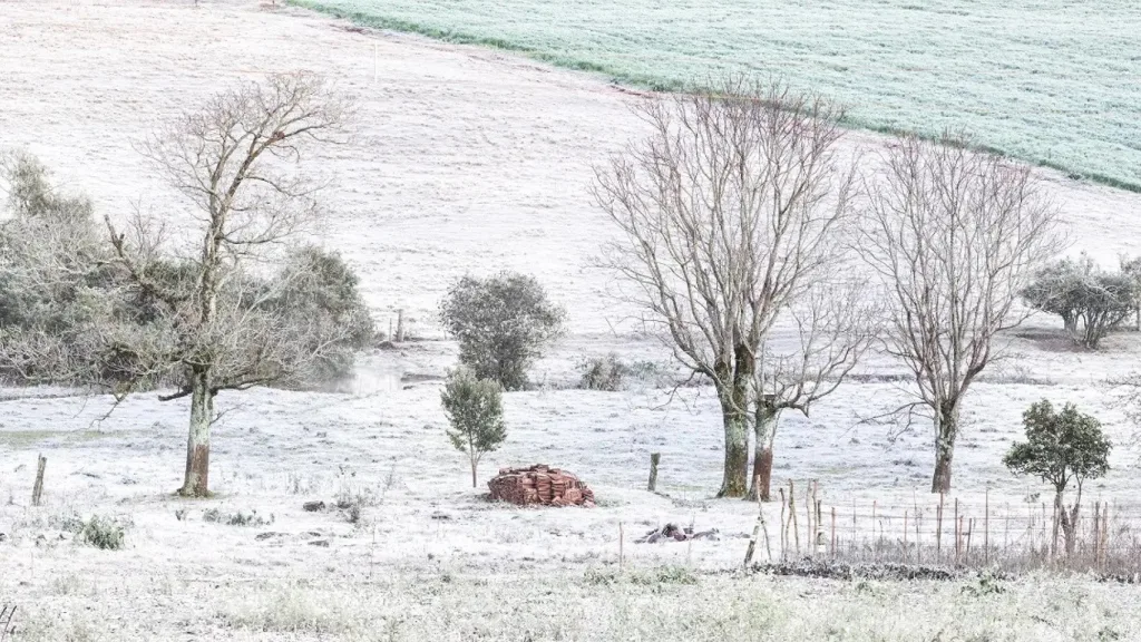 Rio Grande do Sul completa 50 dias de frio abaixo de zero no ano