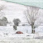 Rio Grande do Sul completa 50 dias de frio abaixo de zero no ano