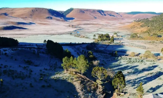 Rio Grande do Sul tem terceiro dia seguido de frio abaixo de zero