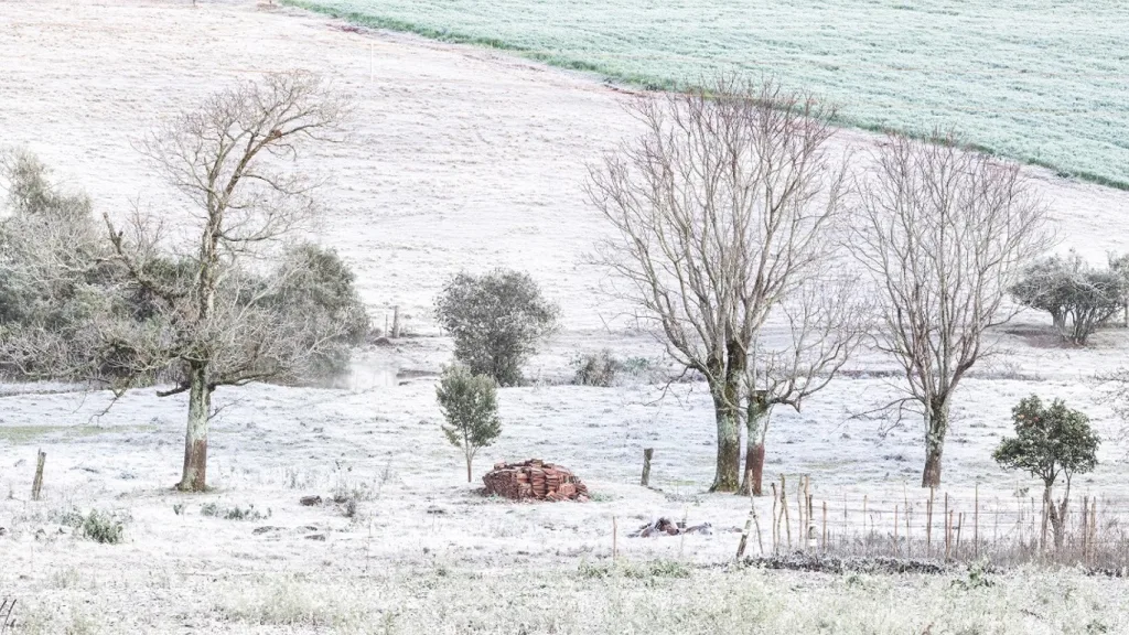 Rio Grande do Sul tem menor temperatura do ano com quase -7ºC