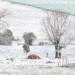 Rio Grande do Sul tem menor temperatura do ano com quase -7ºC