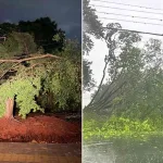 Violentos vendavais causam destruição no Paraná