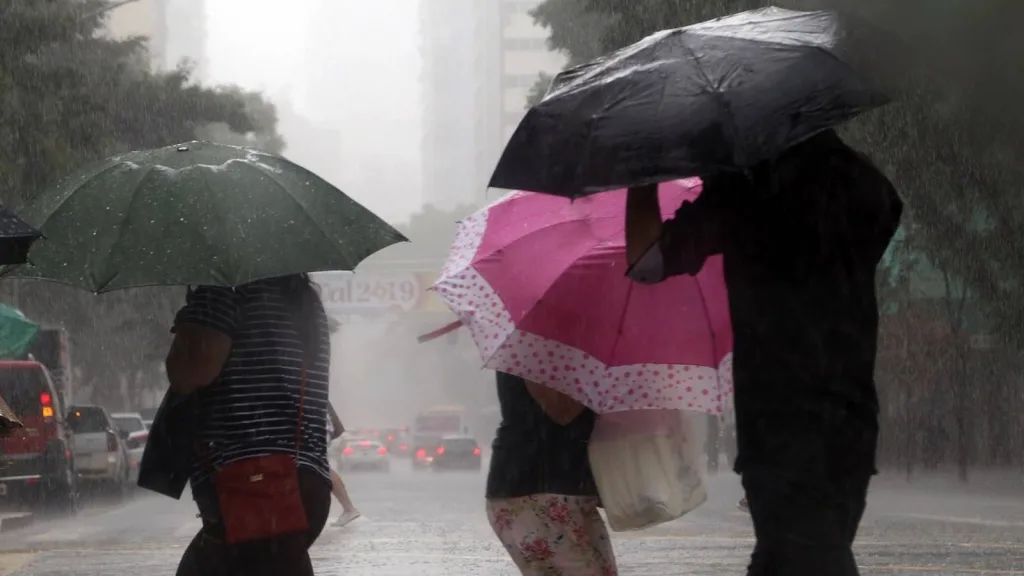 Chuva a perder de vista no Sul do Brasil: muitos dias chuvosos pela frente
